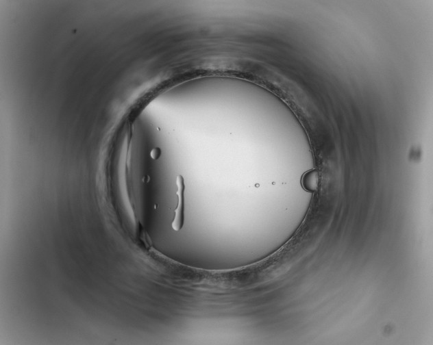 X0000102540727200808221928