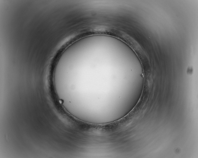 X0000102540728200808221928