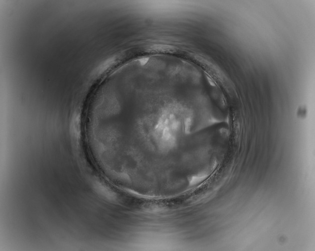 X0000102540729200808221928