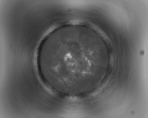X0000102540730200808221928