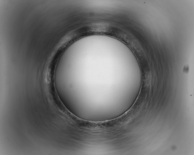X0000102540731200808221928