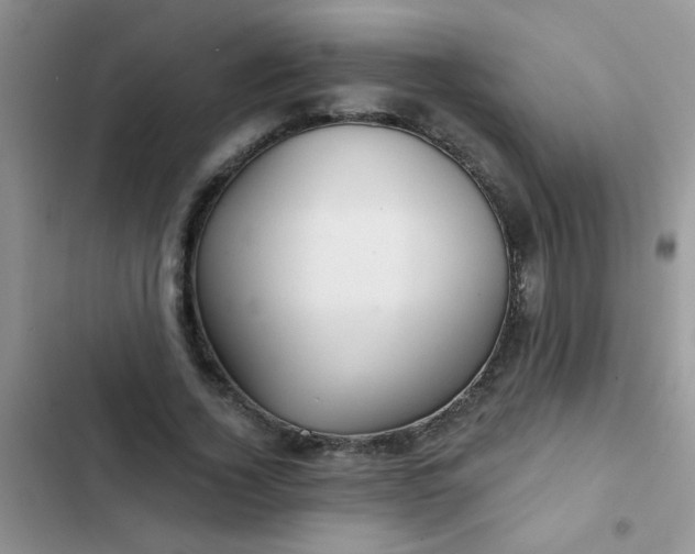 X0000102540732200808221928