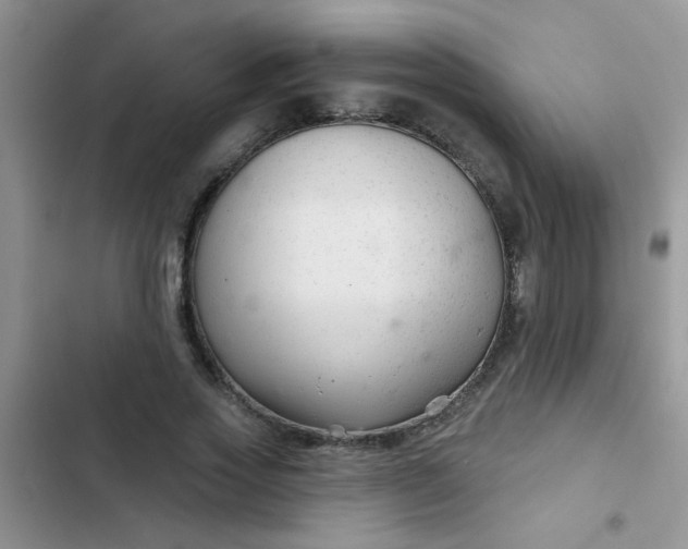 X0000102540733200808221928