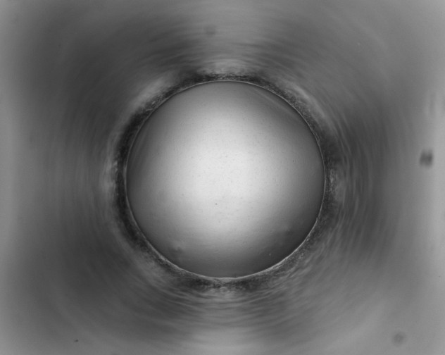 X0000102540735200808221928