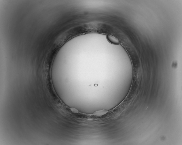 X0000102540737200808221928