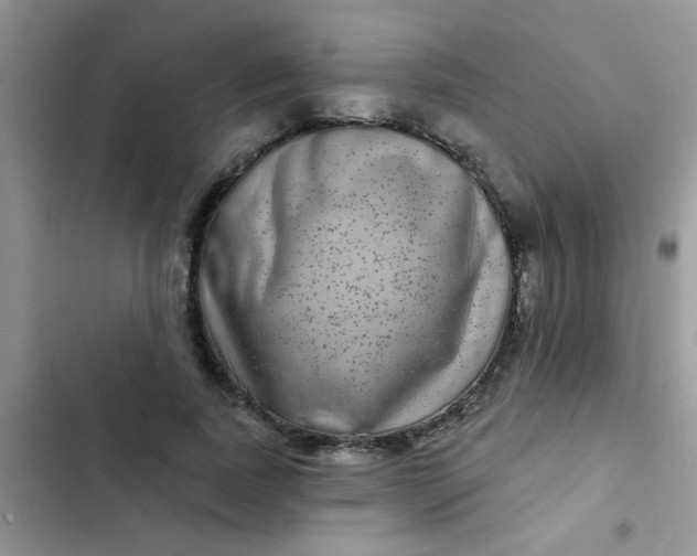 X0000102540739200808221928