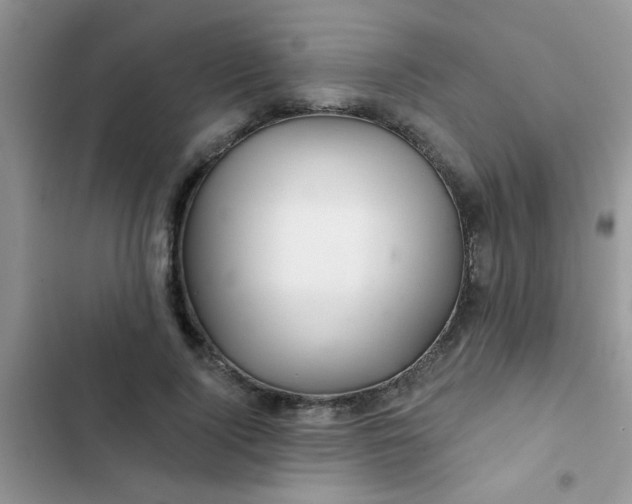 X0000102540740200808221928