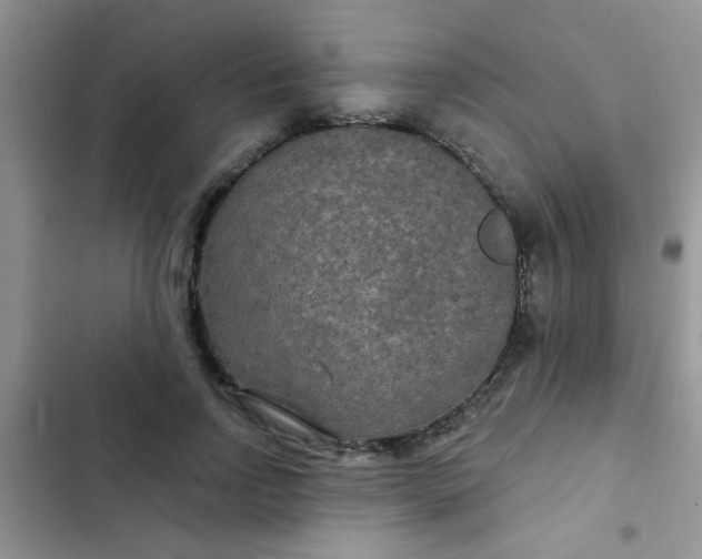 X0000102540742200808221928