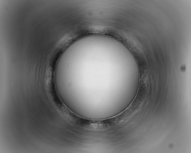 X0000102540744200808221928