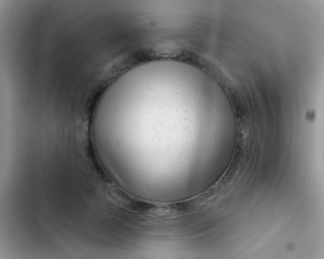 X0000102540745200808221928