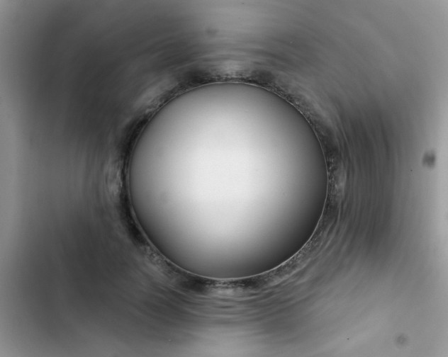 X0000102540746200808221928