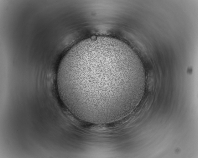 X0000102540747200808221928