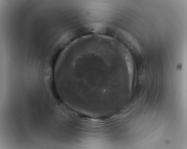 X0000102540748200808221928