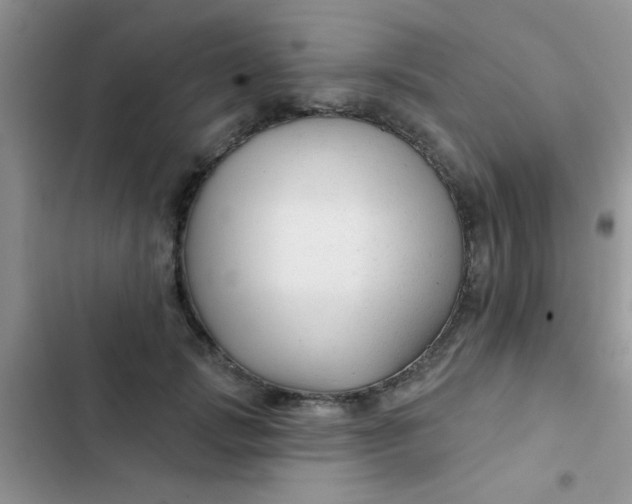 X0000102540749200808221928
