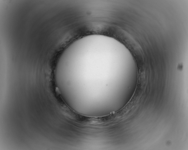 X0000102540750200808221929