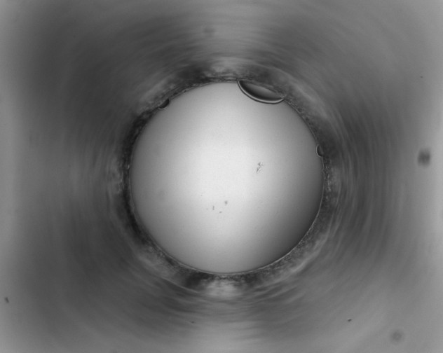 X0000102540751200808221929