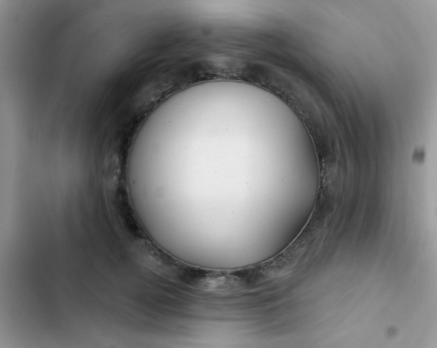 X0000102540752200808221929