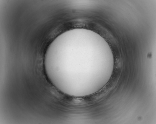X0000102540753200808221929