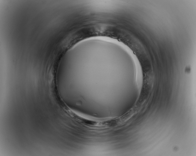 X0000102540754200808221929