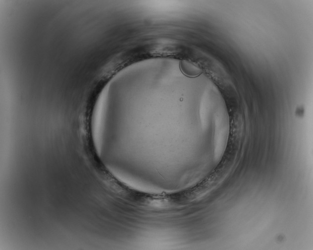 X0000102540755200808221929