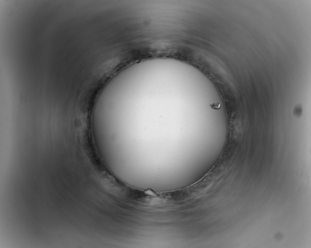 X0000102540756200808221929