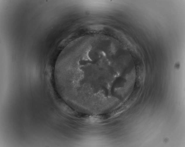 X0000102540758200808221929