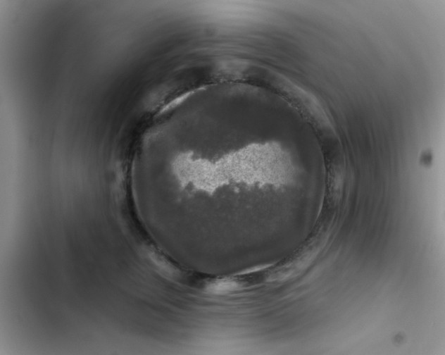 X0000102540759200808221929