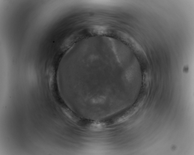 X0000102540760200808221929