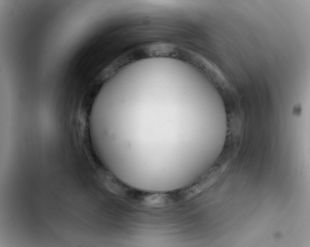 X0000102540761200808221929