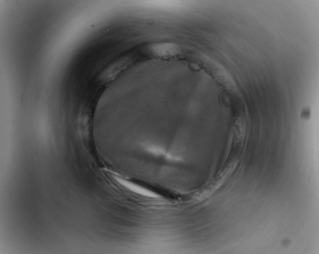 X0000102540762200808221929
