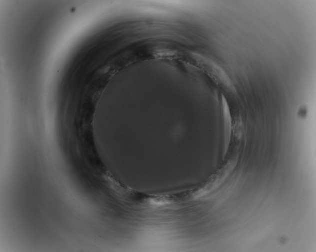 X0000102540763200808221929