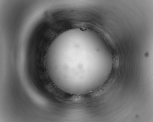 X0000102540764200808221929