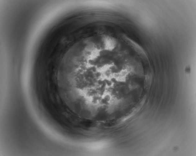 X0000102540765200808221929