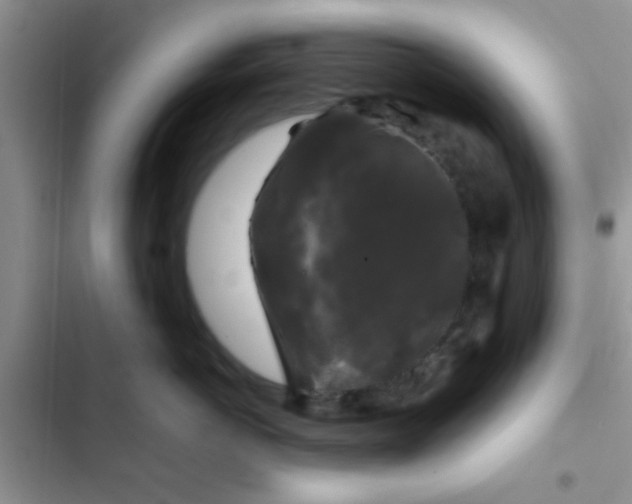 X0000102540766200808221929