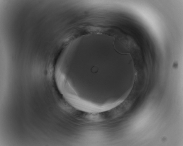 X0000102540767200808221929