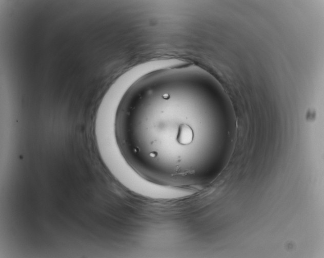 X0000102540768200808221929
