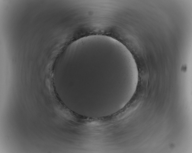 X0000102540769200808221928