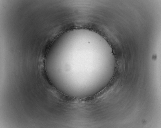 X0000102540770200808221928