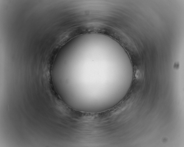 X0000102540771200808221928