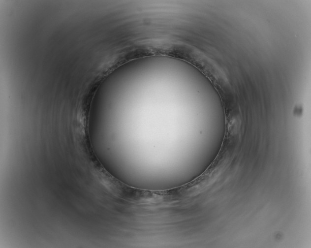 X0000102540772200808221928