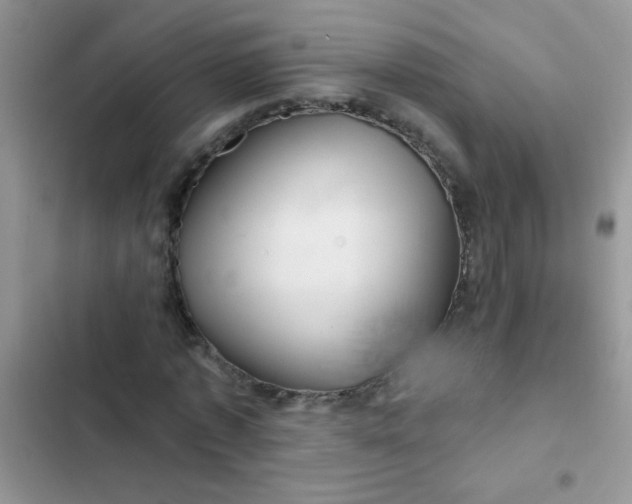 X0000102540773200808221928