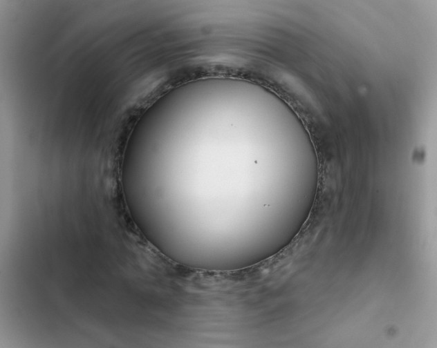 X0000102540774200808221928