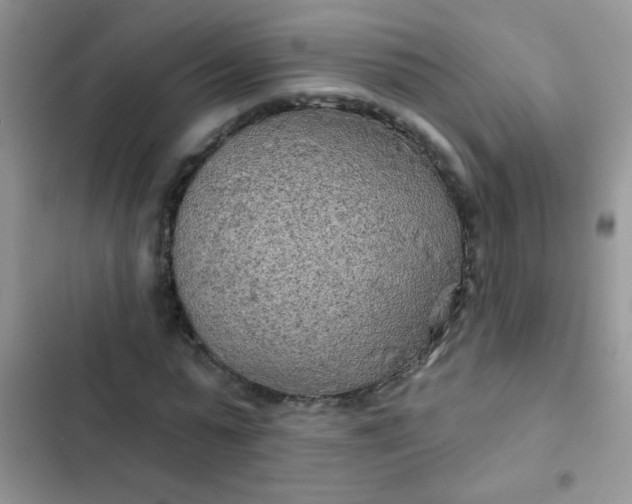 X0000102540775200808221928