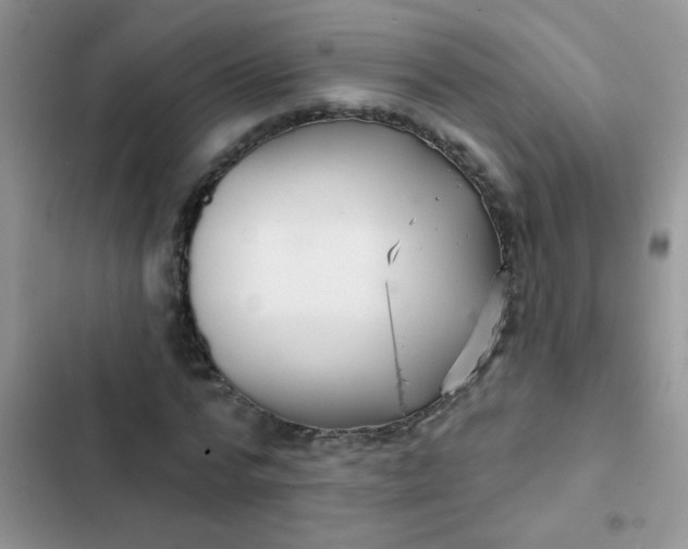 X0000102540776200808221928