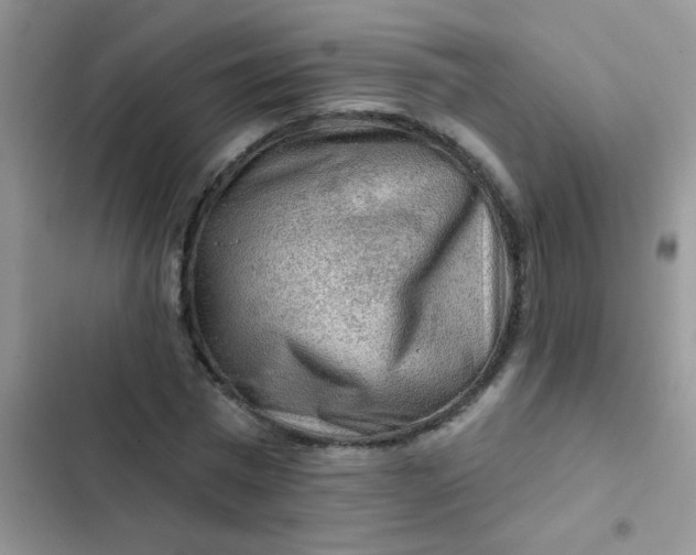 X0000102540777200808221928