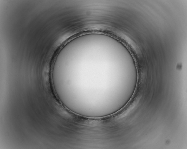 X0000102540778200808221928
