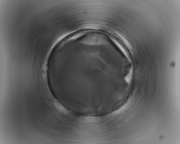 X0000102540779200808221928