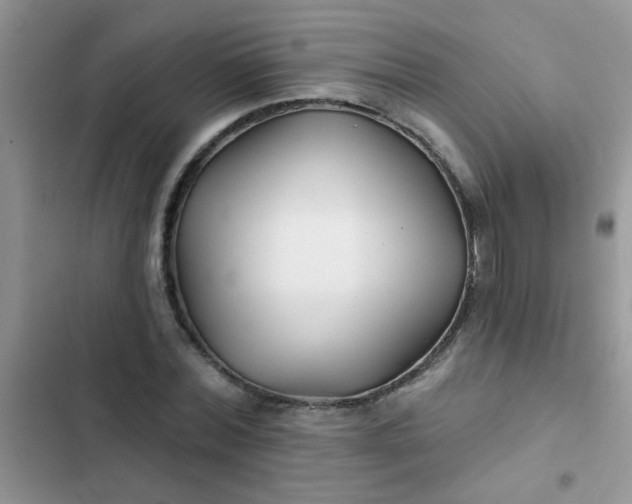 X0000102540780200808221928