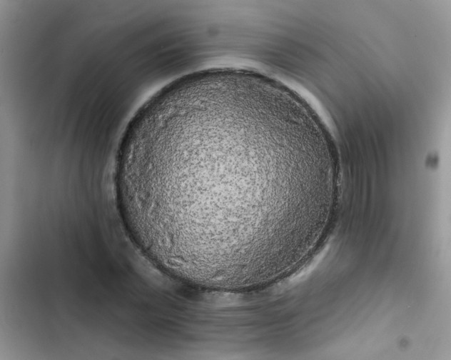 X0000102540783200808221928