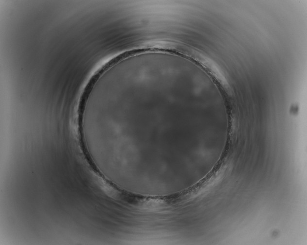 X0000102540784200808221928